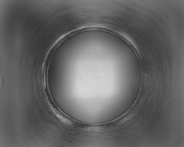 X0000082981127200702230026