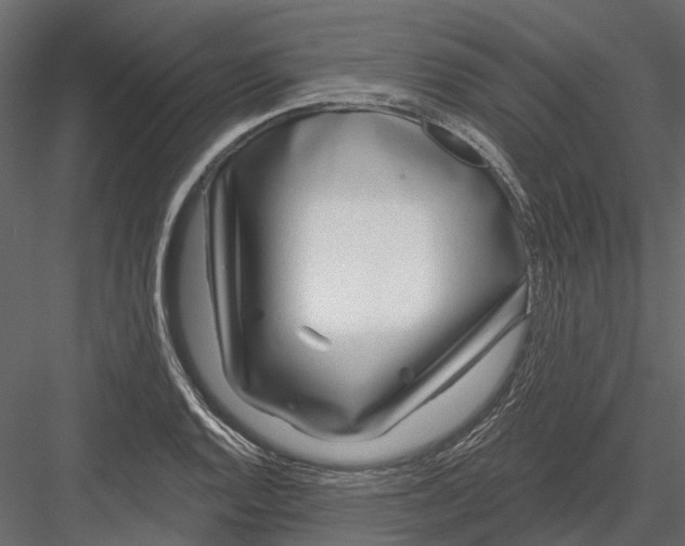 X0000082981128200702230026