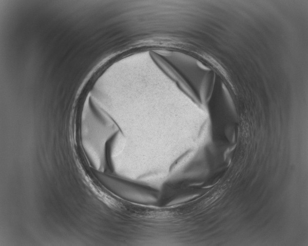 X0000082981131200702230026