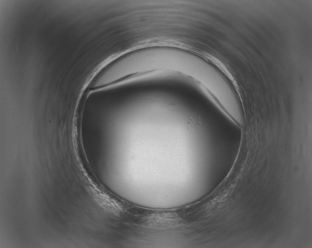 X0000082981133200702230026