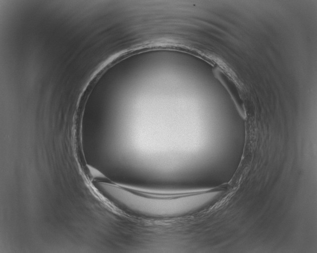 X0000082981134200702230026