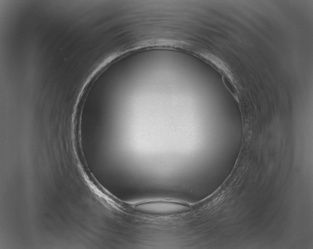 X0000082981135200702230026