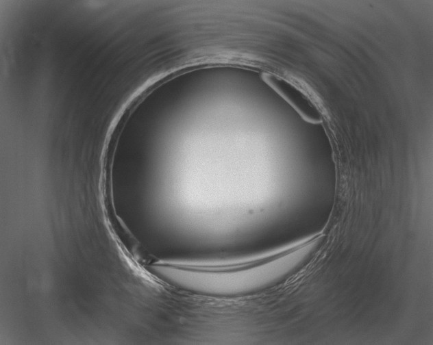 X0000082981136200702230026