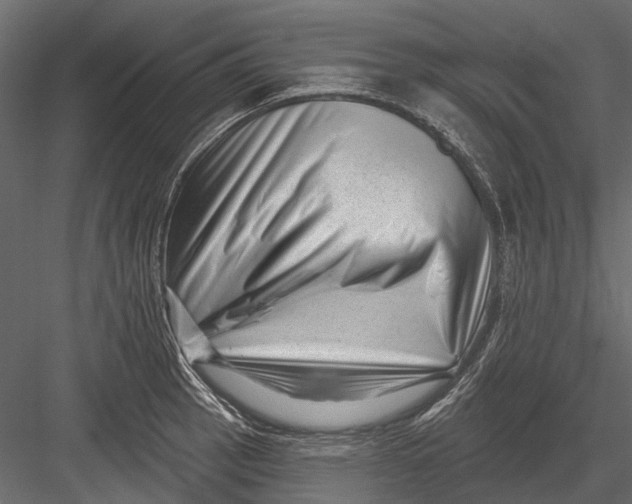 X0000082981137200702230026