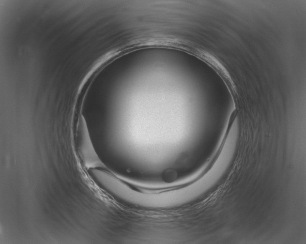 X0000082981138200702230026