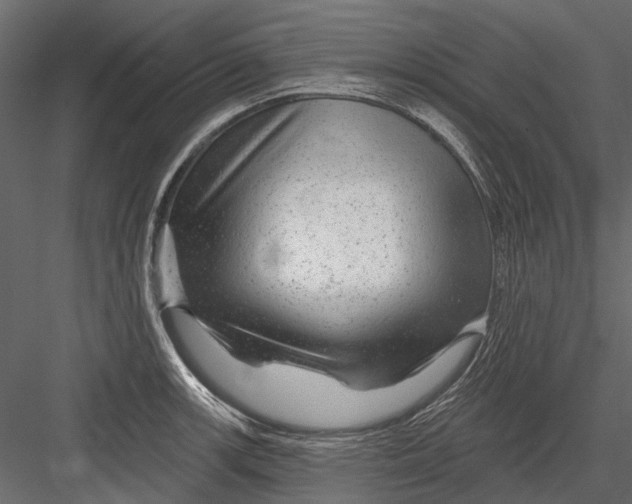 X0000082981139200702230026