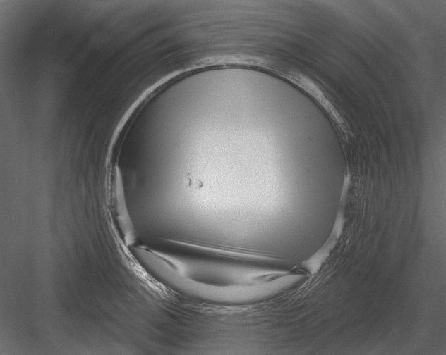 X0000082981140200702230026