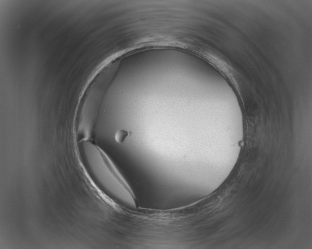 X0000082981141200702230026