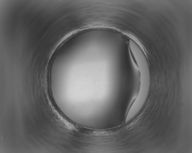 X0000082981142200702230026