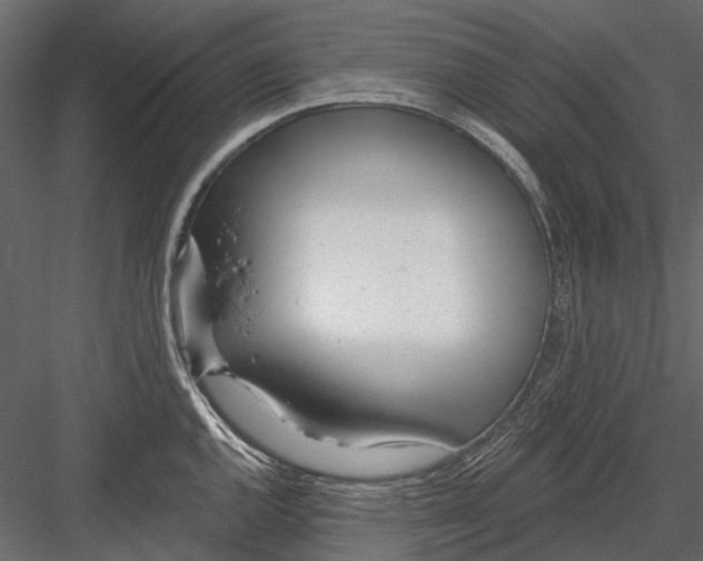 X0000082981144200702230026