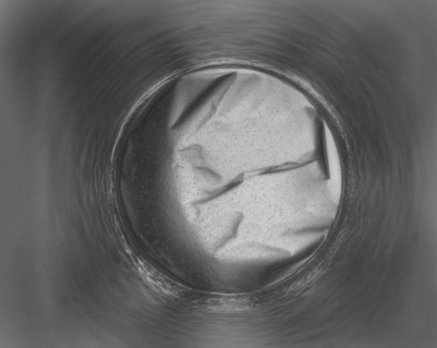 X0000082981145200702230026