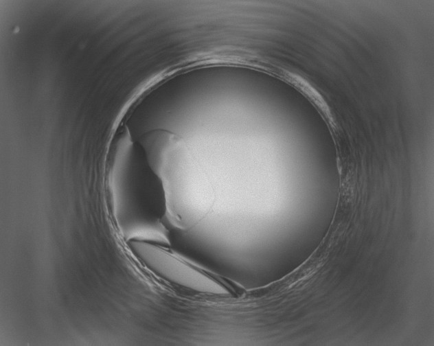 X0000082981146200702230026