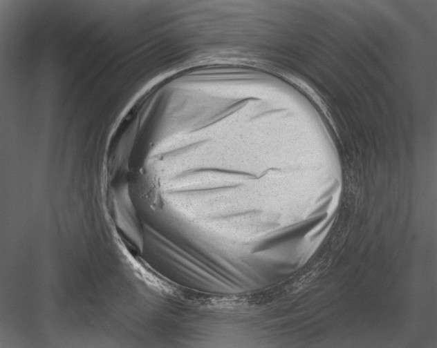 X0000082981147200702230026