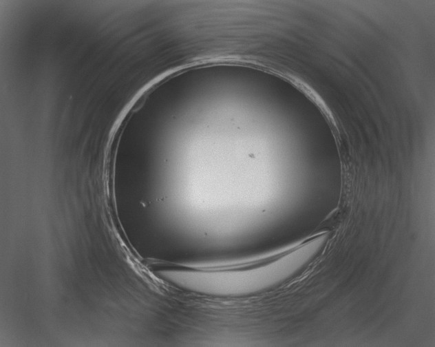 X0000082981148200702230027