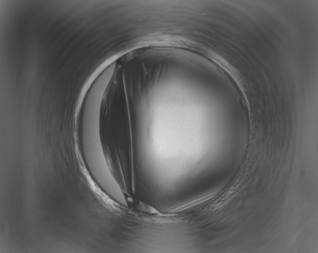 X0000082981152200702230027