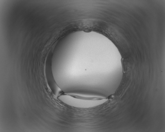 X0000082981153200702230026