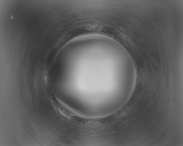 X0000082981154200702230026