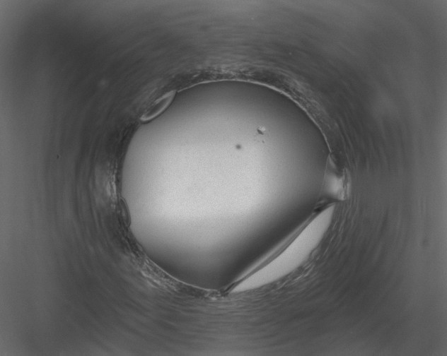 X0000082981155200702230026