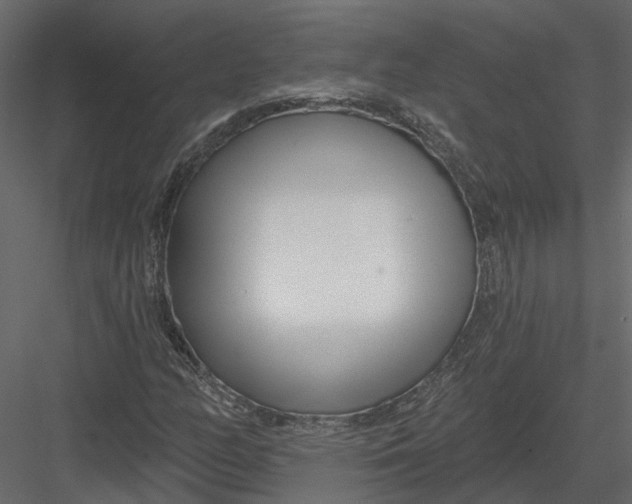 X0000082981158200702230026