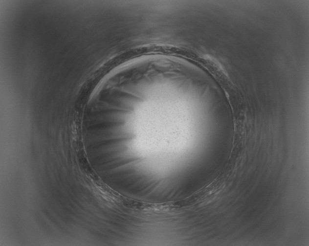X0000082981159200702230026