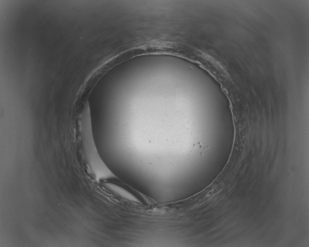 X0000082981160200702230026