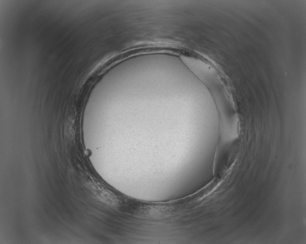X0000082981163200702230026
