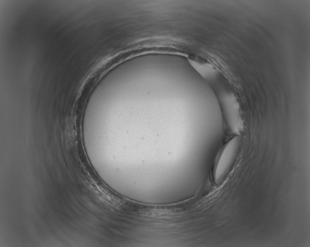 X0000082981164200702230026