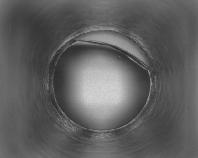 X0000082981165200702230026