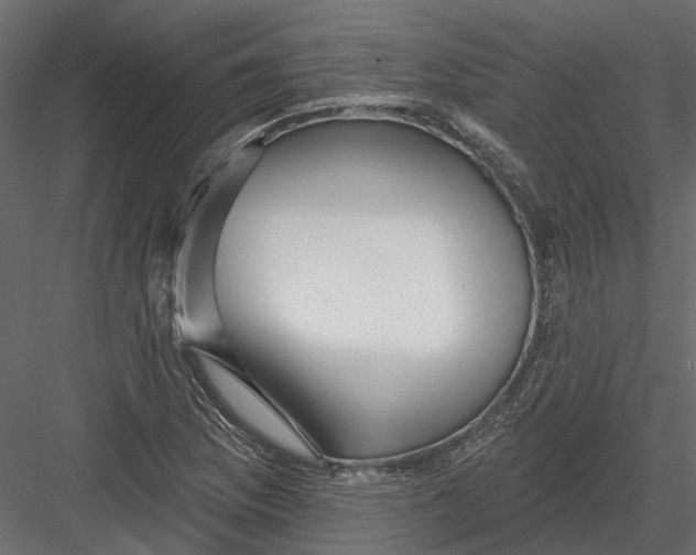 X0000082981169200702230025