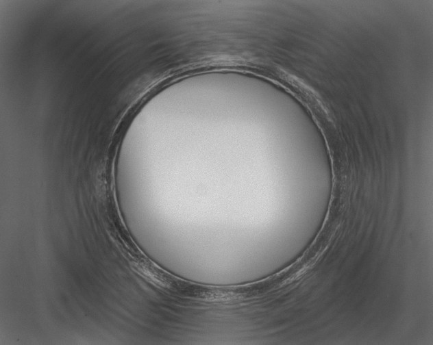 X0000082981170200702230025