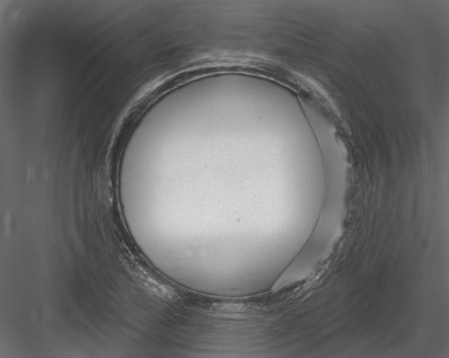 X0000082981172200702230025