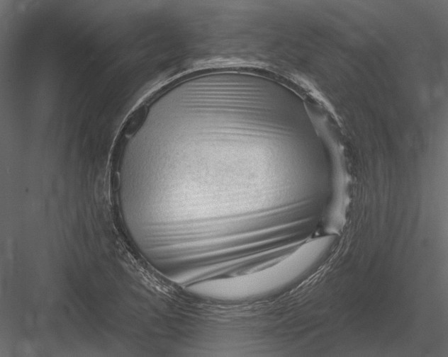 X0000082981173200702230025
