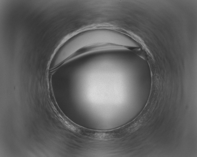 X0000082981176200702230025