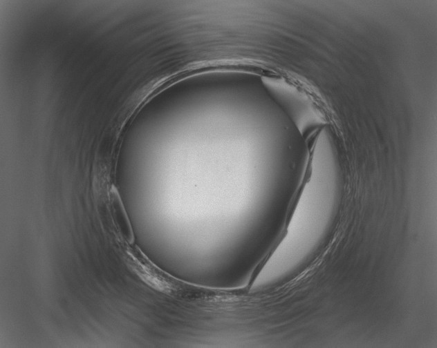 X0000082981177200702230025