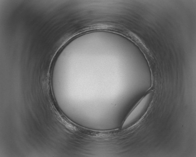 X0000082981178200702230025