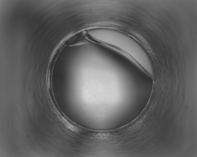 X0000082981180200702230025