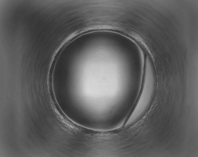 X0000082981181200702230025