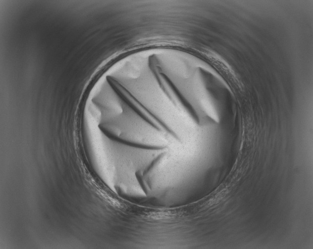 X0000082981182200702230025