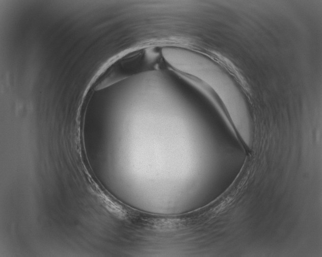 X0000082981184200702230025