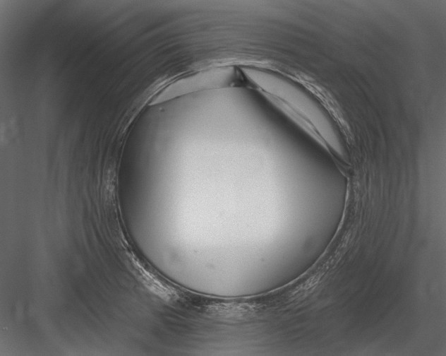 X0000082981185200702230025