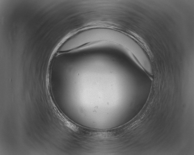 X0000082981188200702230025
