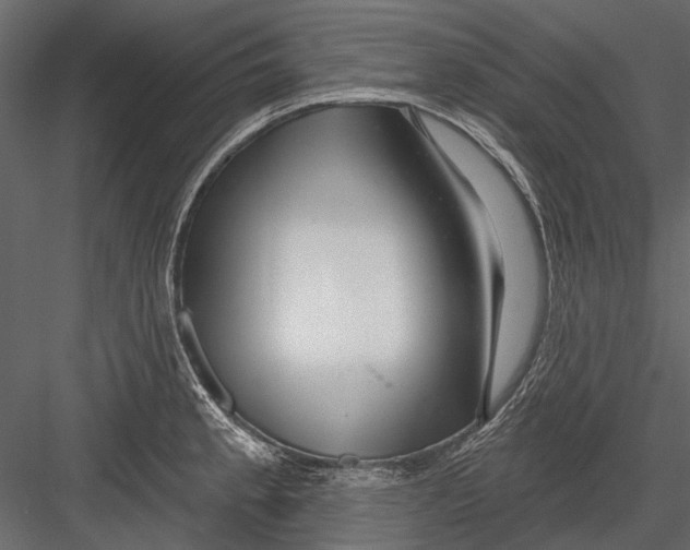 X0000082981189200702230025