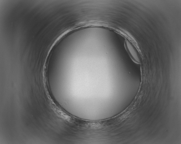 X0000082981190200702230025
