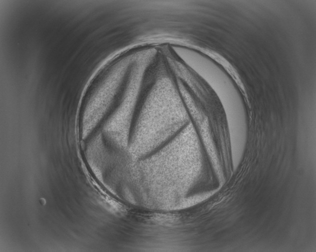 X0000082981191200702230025