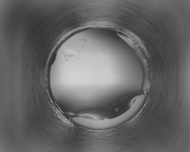 X0000082981192200702230025