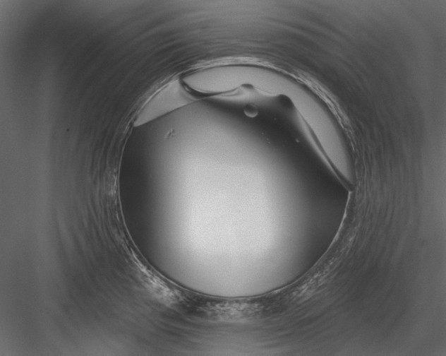X0000082981193200702230025