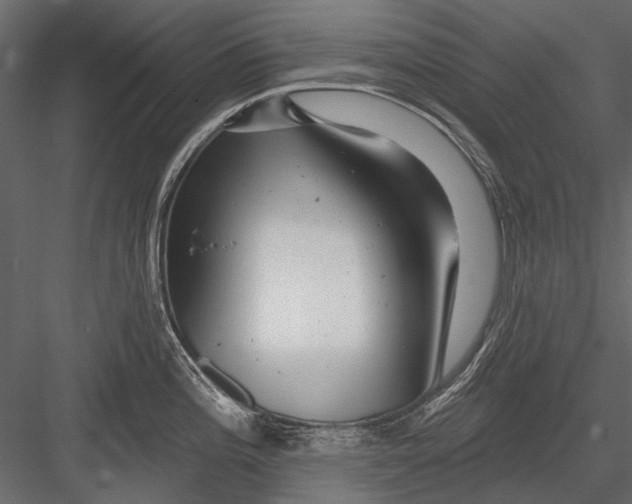X0000082981196200702230025