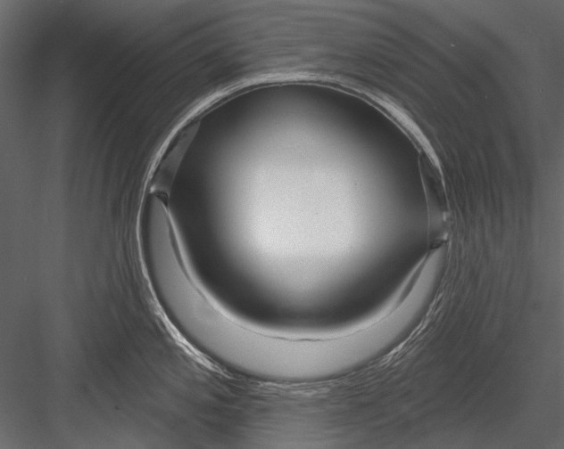 X0000082981197200702230025