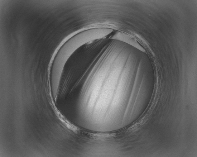 X0000082981200200702230025