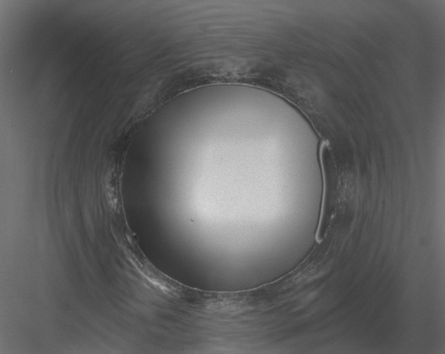 X0000082981202200702230024